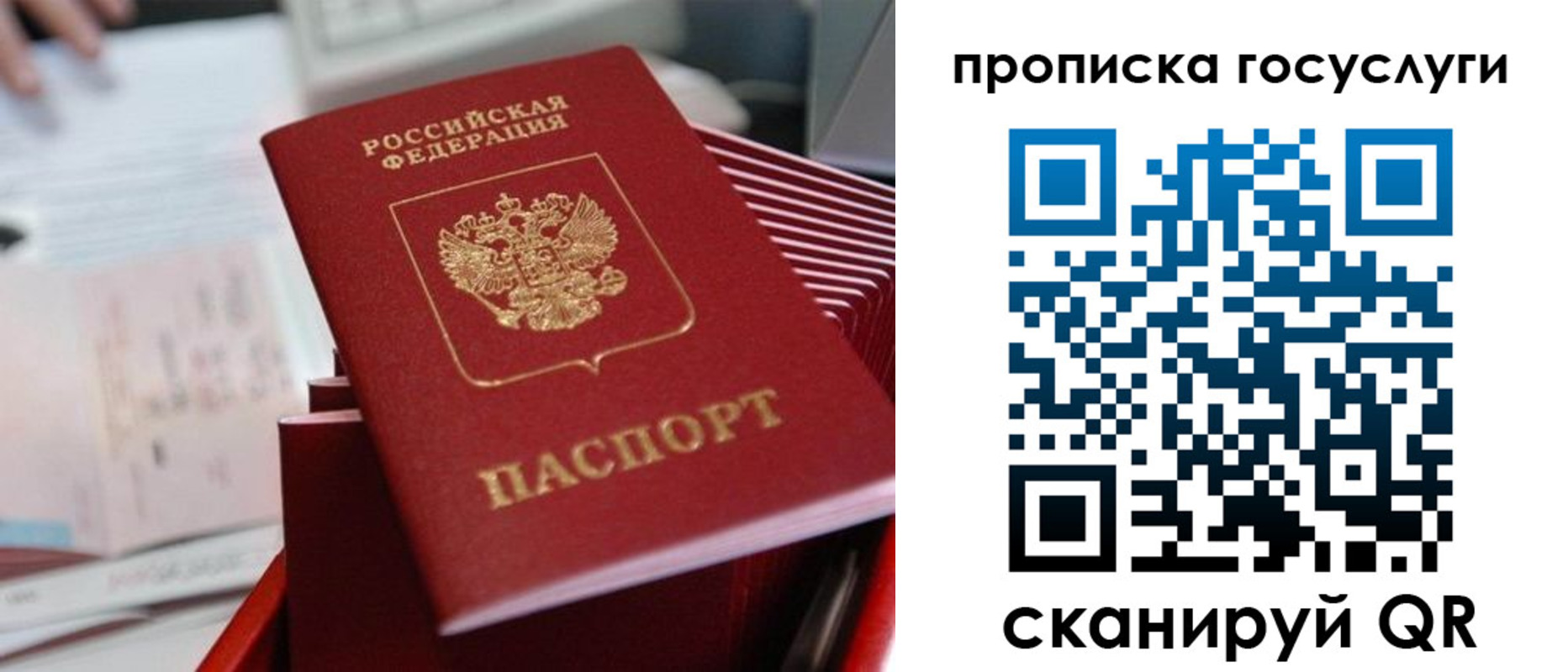 прописка законно в Донском